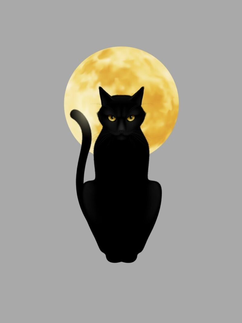 Halloween iPhone wallpaper with moonlit black cat on gray background
