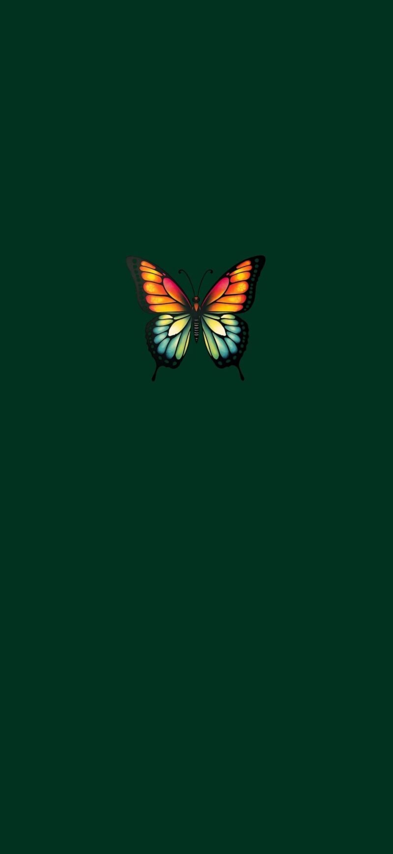 Butterfly iPhone wallpaper with forest night background - elegant and calming design for iPhone lock and home screens.