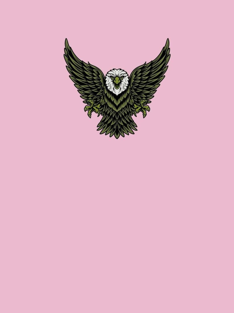Eagles iPhone Wallpaper with pastel pinkish background - lightweight premium design for iPhone screens.