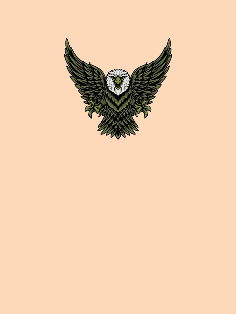Eagles iPhone Wallpaper with peach dawn background - lightweight premium design for iPhone screens.