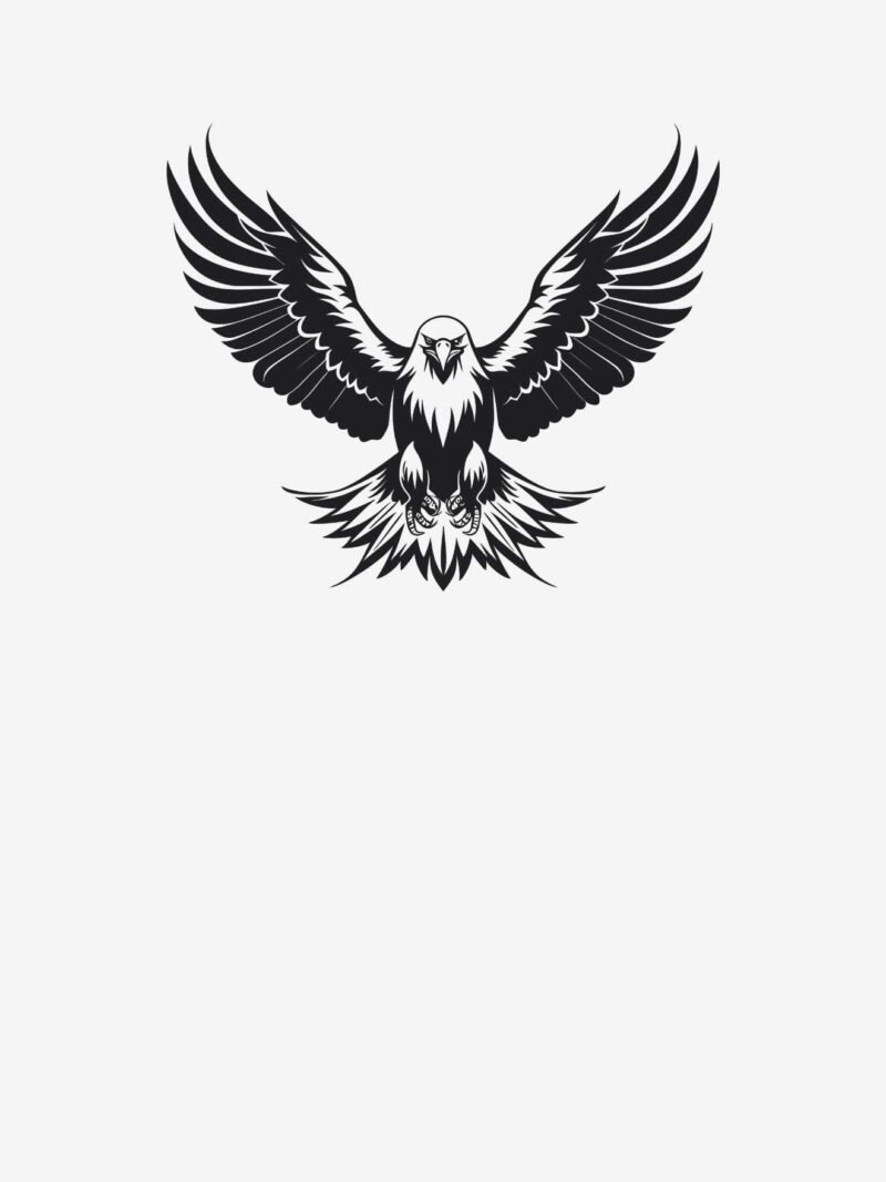 Eagles iPhone Wallpaper with silver mist background - lightweight premium design for iPhone screens.