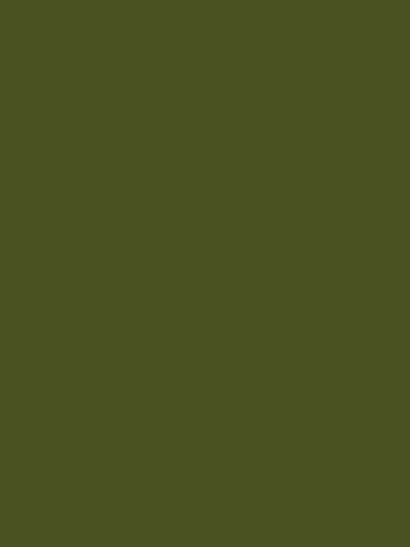 Green iPhone Wallpaper - Army Green minimalist background for iPhone