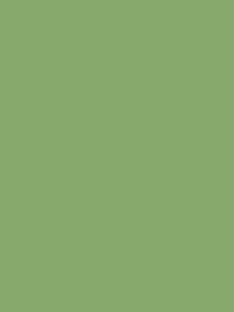 Green iPhone Wallpaper - Asparagus Green minimalist background for iPhone