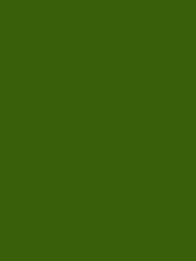 Green iPhone Wallpaper - Dark Moss Green minimalist background for iPhone