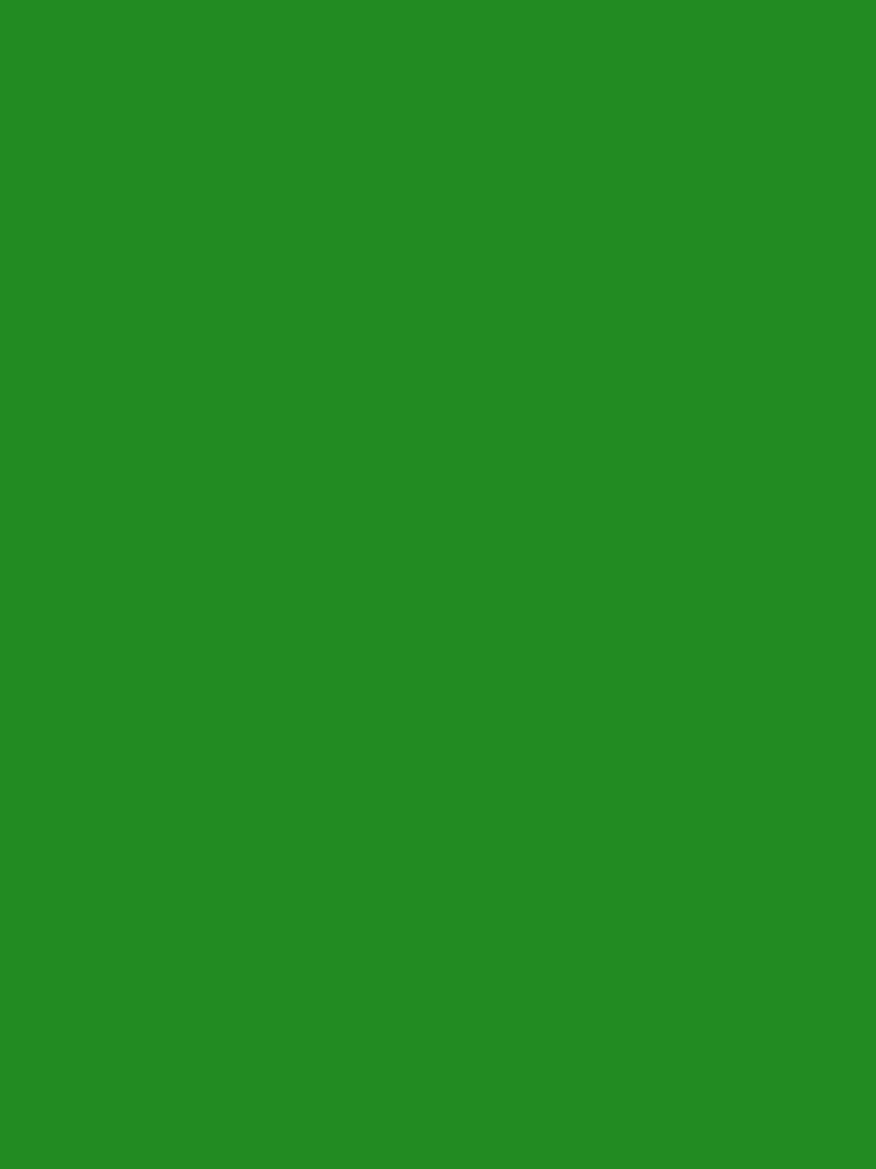 Green iPhone Wallpaper - Forest Green minimalist background for iPhone