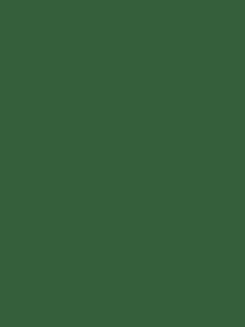 Green iPhone Wallpaper - Hunter Green minimalist background for iPhone