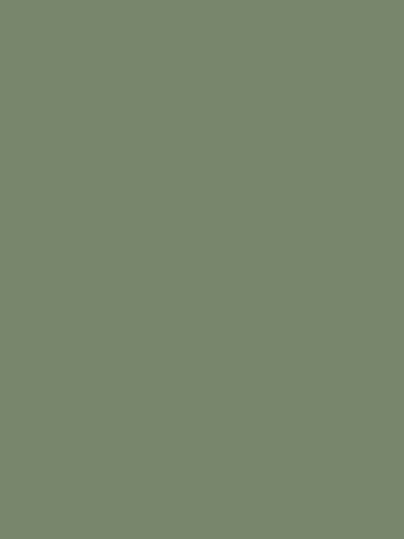 Green iPhone Wallpaper - Khaki Green minimalist earthy background for iPhone